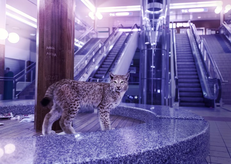 Outomaa Antti Hintsa Kuvakulmilla