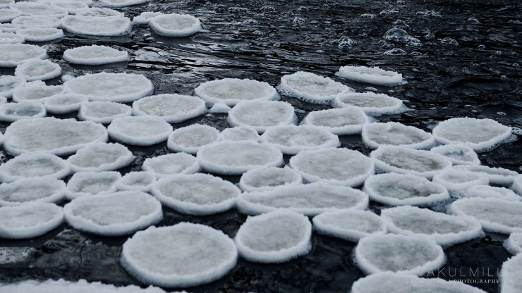 P1300347 low res.jpg