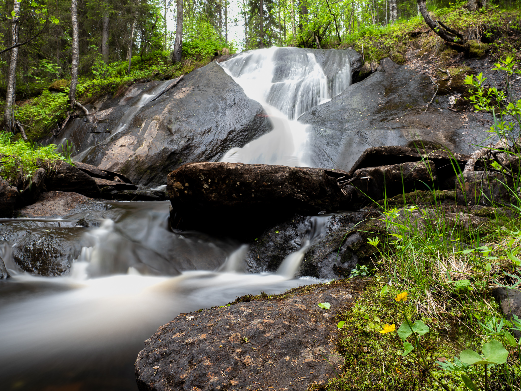 Myllyköngäs_Vähänojanköngäs-6080068