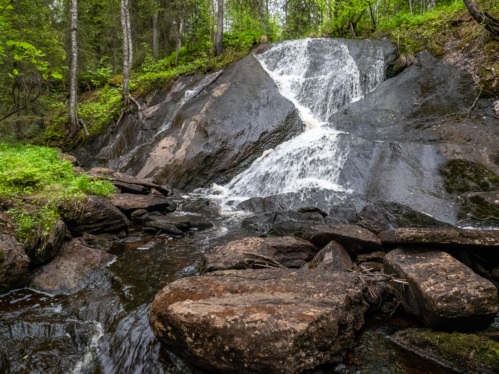 Myllyköngäs_Vähänojanköngäs-6080072