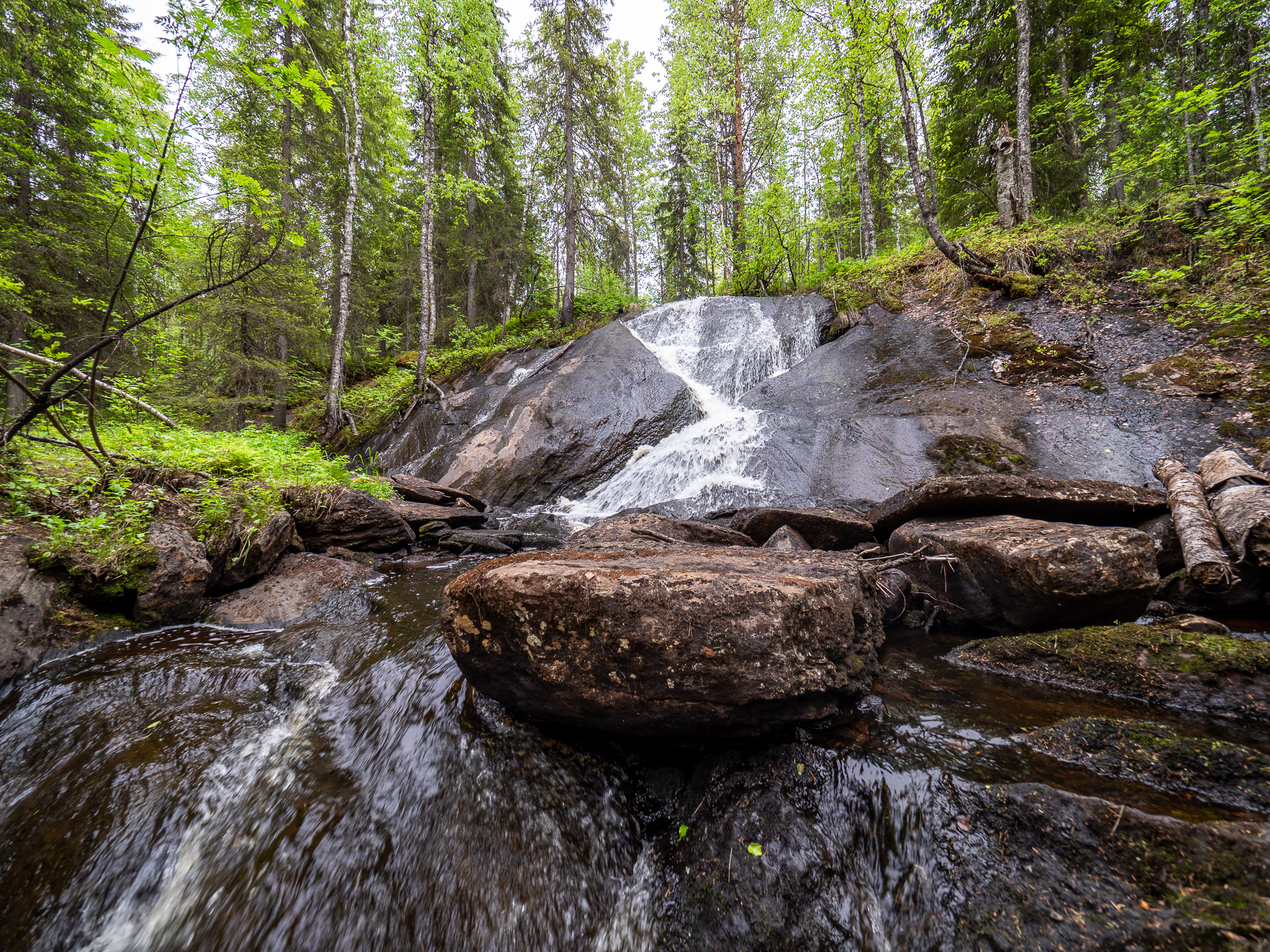 Myllyköngäs_Vähänojanköngäs-6080074